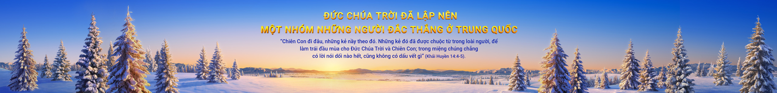 Banner-testimonies-3-pc