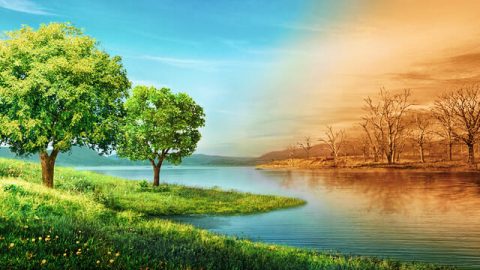 Phân biệt Christ giả với Đấng Christ thật